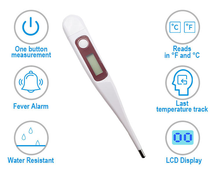 Digital Thermometer2